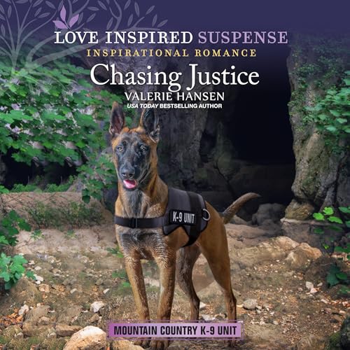 Cover of Chasing Justice