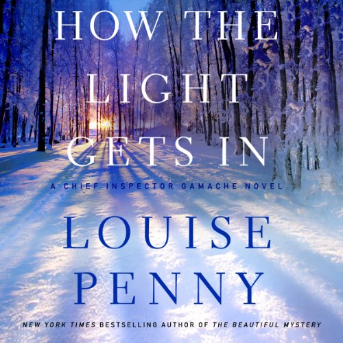 Cover of How the Light Gets In
