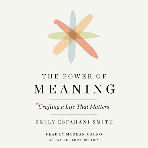 Cover of The Power of Meaning
