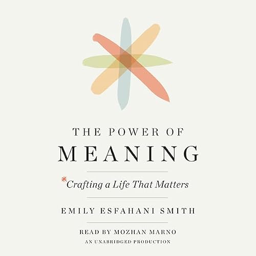 Cover of The Power of Meaning