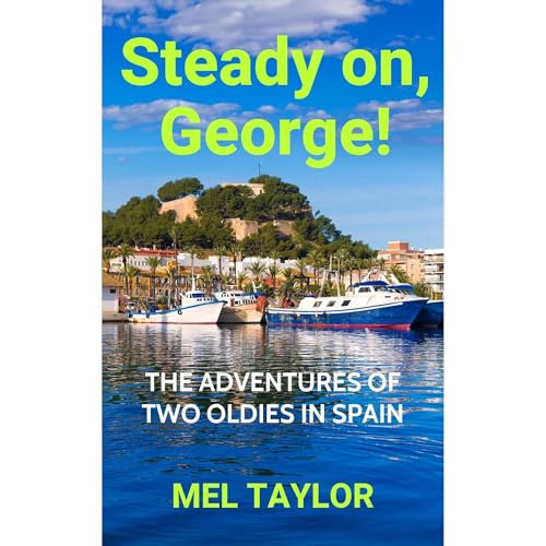 Cover of Steady on, George!