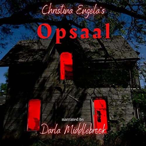 Cover of Opsaal