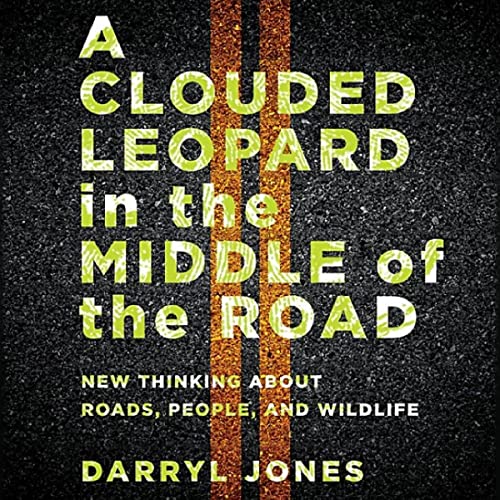Cover of A Clouded Leopard in the Middle of the Road