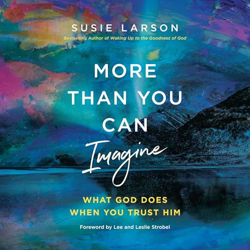 Cover of More Than You Can Imagine