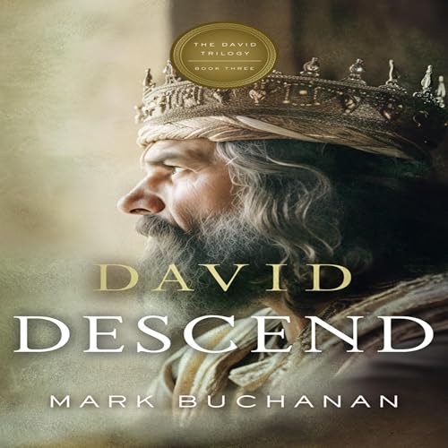 Cover of David: Descend