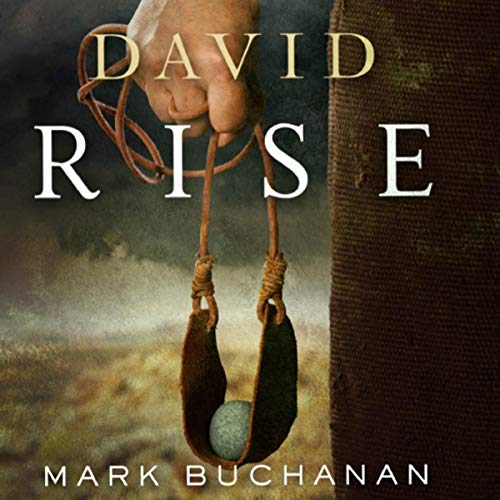 Cover of David: Rise