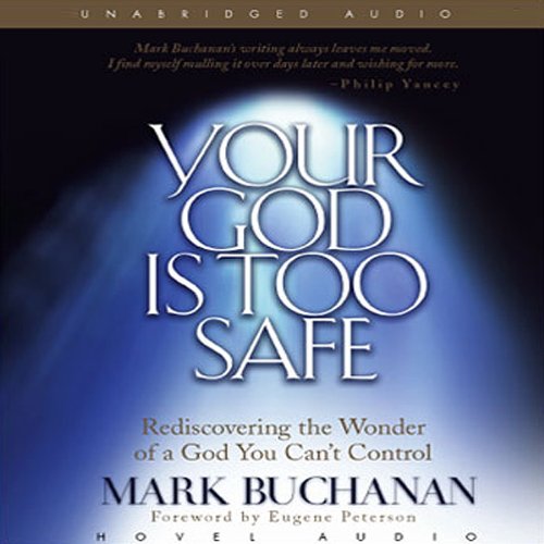 Cover of Your God Is Too Safe