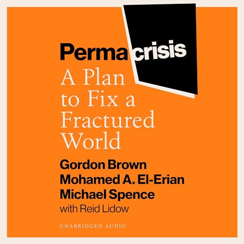Cover of Permacrisis