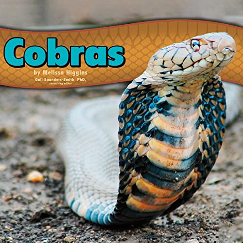 Cover of Cobras