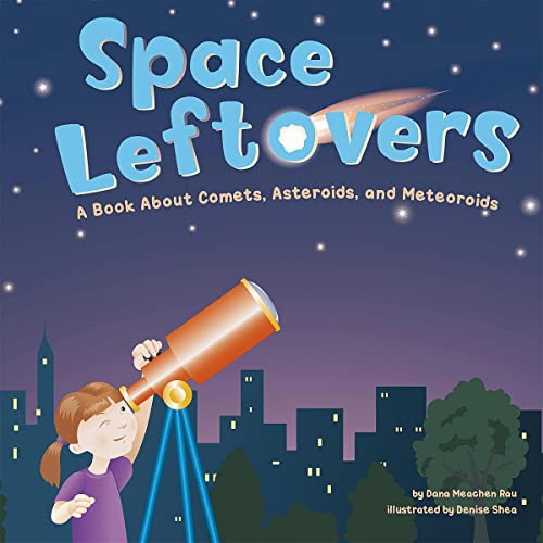 Cover of Space Leftovers