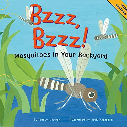 Cover of Bzzz, Bzzz!