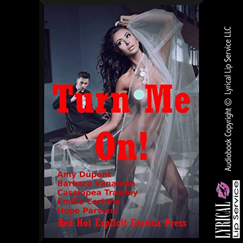 Cover of Turn Me On! Five Explicit Erotica Stories