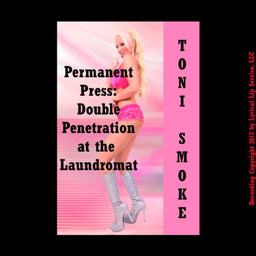 Cover of Permanent Press: Double Penetration at the Laundromat
