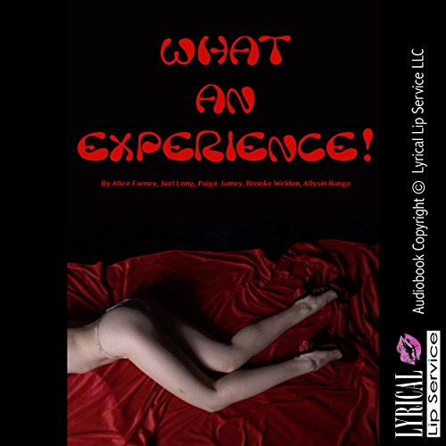 Cover of What an Experience! Five Explicit Erotica Stories