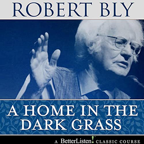 Cover of A Home in the Dark Grass