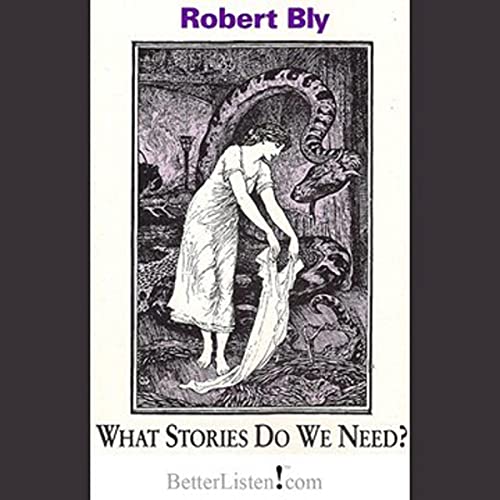Cover of What Stories Do We Need?