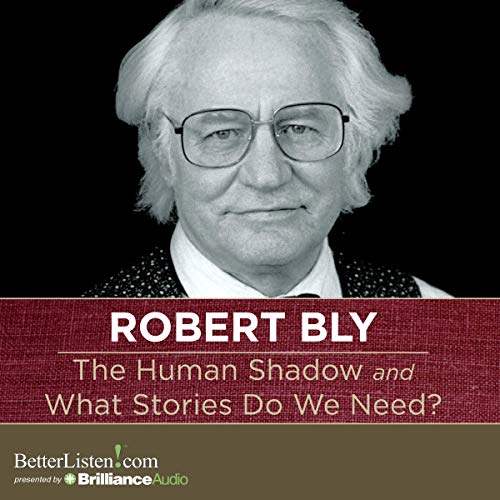 Cover of The Human Shadow and What Stories Do We Need?