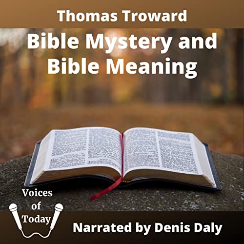 Cover of Bible Mystery and Bible Meaning