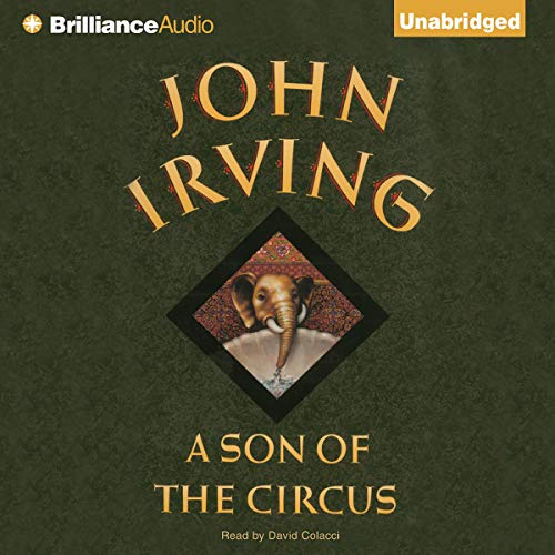 Cover of A Son of the Circus