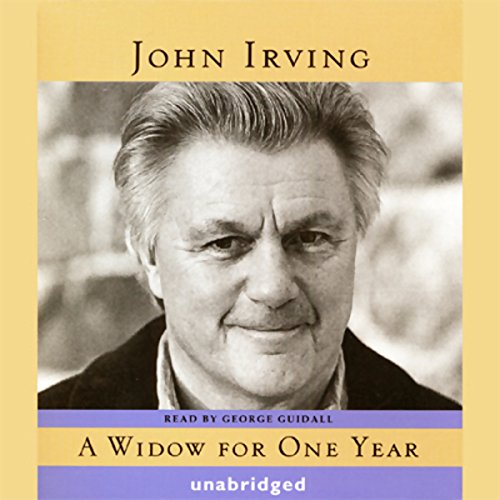 Cover of A Widow for One Year