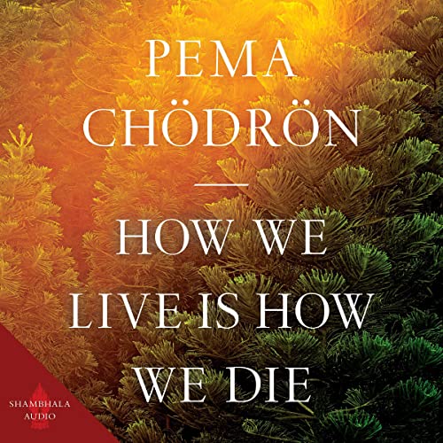 Cover of How We Live Is How We Die