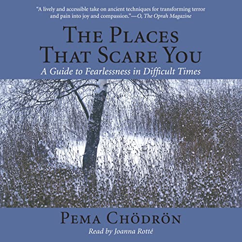 Cover of The Places That Scare You
