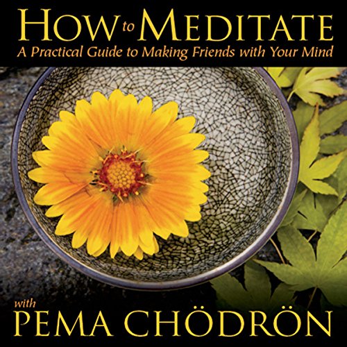 Cover of How to Meditate with Pema Chödrön