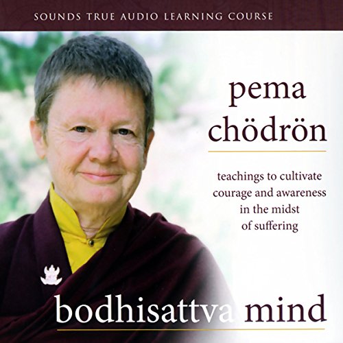 Cover of Bodhisattva Mind