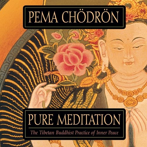 Cover of Pure Meditation