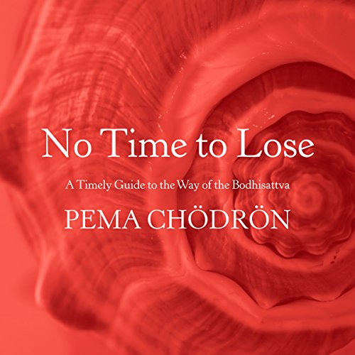 Cover of No Time to Lose