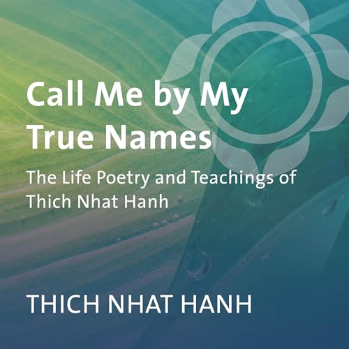 Cover of Call Me by My True Names