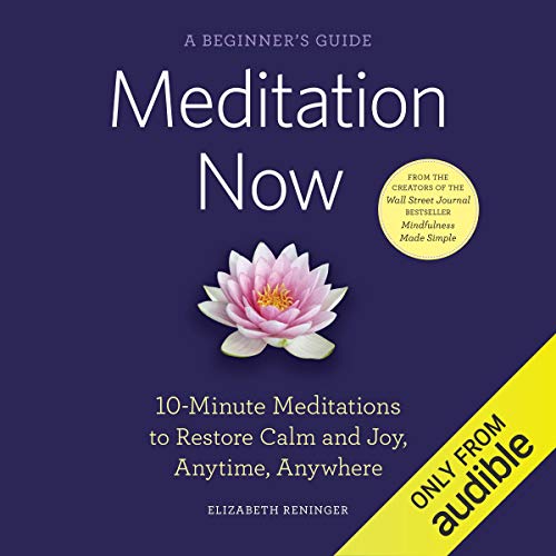 Cover of Meditation Now: A Beginner's Guide