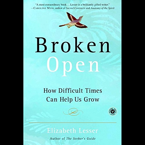 Cover of Broken Open