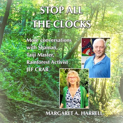 Cover of Stop All the Clocks