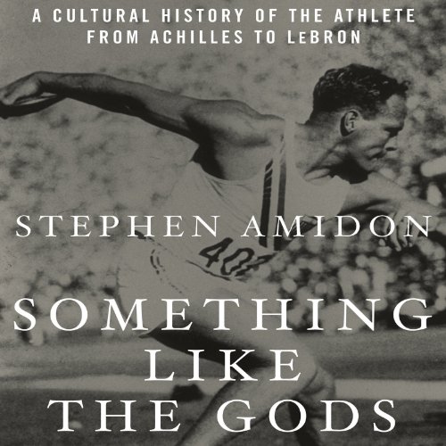 Cover of Something like the Gods