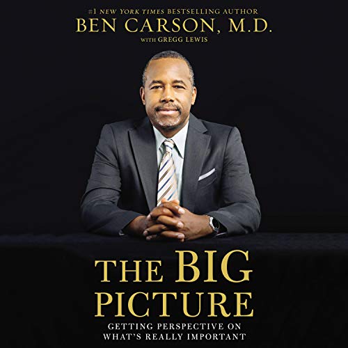 Cover of The Big Picture
