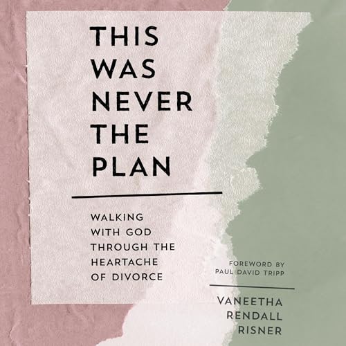 Cover of This Was Never the Plan