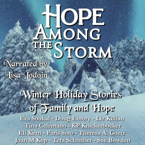 Cover of Hope Among the Storm