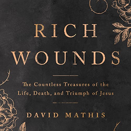 Cover of Rich Wounds