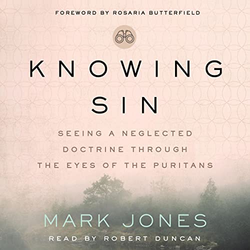 Cover of Knowing Sin