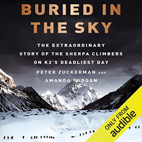Cover of Buried in the Sky