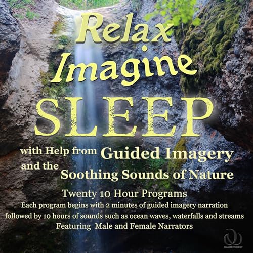 Cover of Relax Imagine Sleep