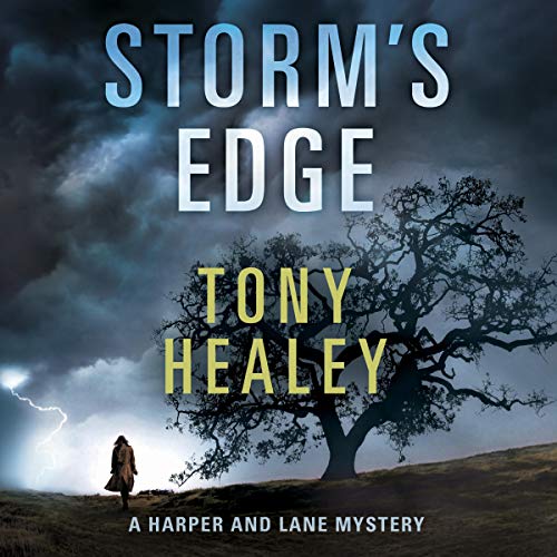 Cover of Storm's Edge