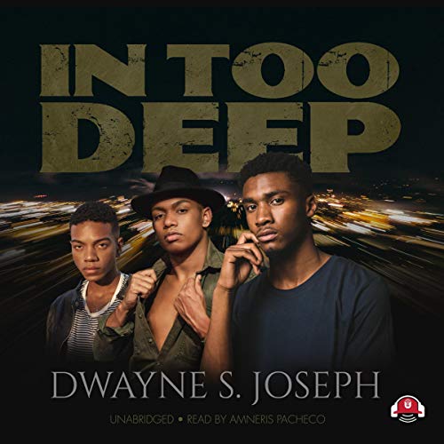 Cover of In Too Deep