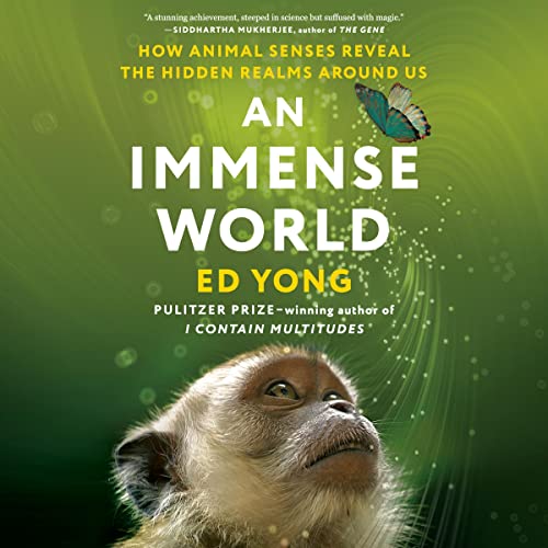 Cover of An Immense World