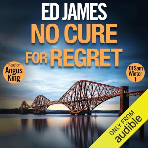 Cover of No Cure for Regret