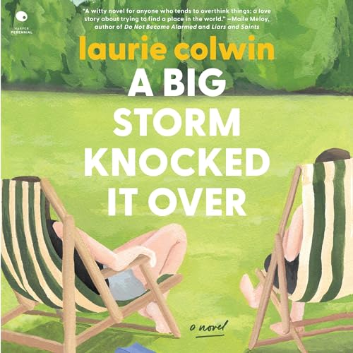 Cover of A Big Storm Knocked It Over