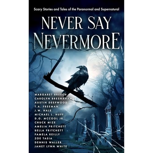 Cover of Never Say Nevermore