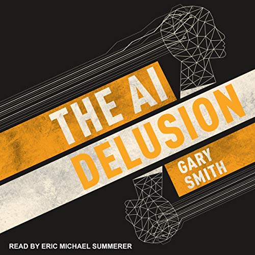 Cover of The AI Delusion