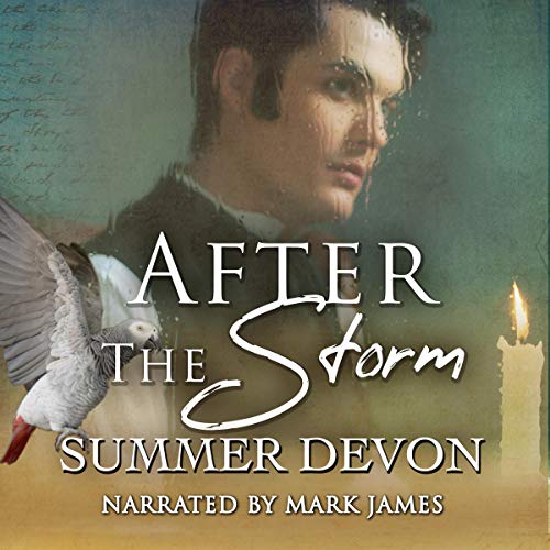 Cover of After the Storm